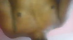 desi bhabi pussy fucking by Devar homemade sex