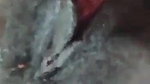 mallu hot wife playing with boobs and pussy