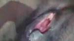 mallu hot wife playing with boobs and pussy