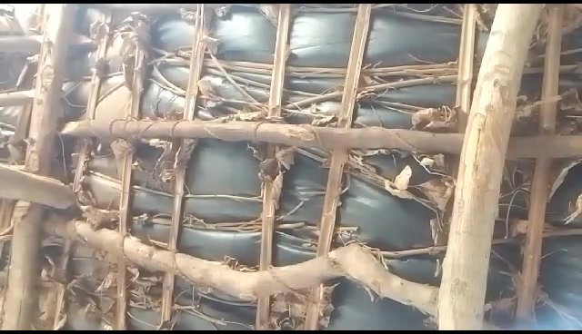 Frame 10