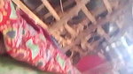 sleeping village wife under boobs show viral MMS
