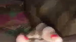 bhabhi giving blowjob in viral desi mature sex