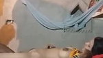 village bhabhi sex riding dick and missionary sex