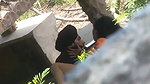 Punjabi girl outdoor sex viral hidden cam