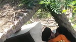 Punjabi girl outdoor sex viral hidden cam