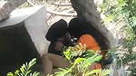 Punjabi girl outdoor sex viral hidden cam