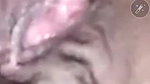 Pakistani MILF viral nude pics and video call