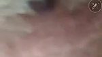 Pakistani MILF viral nude pics and video call