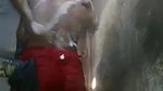 Bangla naked girl bathing with big boobs flaunt