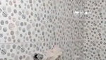 Bengali girl nude bath showing huge boobs