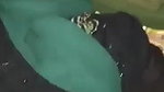 Bangla hijabi girl pussy fucking viral sex video