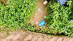 Miss Malaika Public place Nude Pussy Show Masturbation