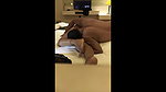 Sexy couple sex