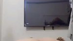 Pakistani big ass girl fingering fresh mms