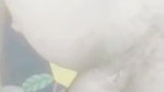 girlfriend pussy fucking in Rajasthan sex video