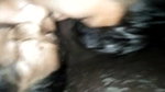college girl boob sucking viral sex video