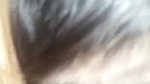 milky big boobs bhabhi sucking dick like pro