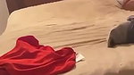 Young Lankan Girl Painful Threesome Fucking