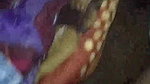 village bhabhi sex blowjob while boob press