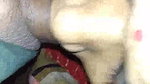 Indian incest bhabhi blowjob to devar viral show