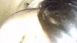 Indian incest bhabhi blowjob to devar viral show