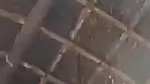 cheating village bhabhi Indian pussy viral show