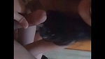 Sexy Horny Girl Sucking Dick