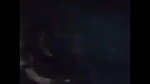 Sexy Horny Girl Sucking Dick