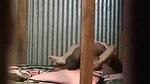 Bangladeshi Lovers Fucking Hidden Sex Videos