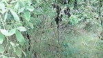 young maid xxx indian outdoor blowjob viral show