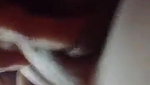 Bengali big boobs girl nude video updates