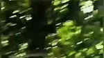 Kannur mallu college girl viral outdoor sex video