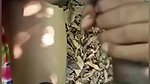 Kannur mallu college girl viral outdoor sex video