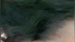 Kannur mallu college girl viral outdoor sex video