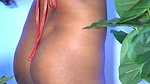 sanchita bose bikiny