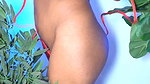 sanchita bose bikiny