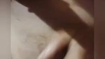 Bhabhi showing hairy pussy for secret lover