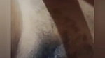 Bhabhi showing hairy pussy for secret lover