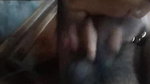 Desi Wife Deep Blowjob To Hubby Till Cumshot