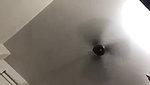 Bengali girl experiences blowjob for first time
