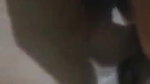 Bengali girl spreading and showing tight pussy