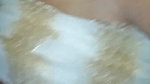 Desi girl hairy pussy painful fucking viral clip