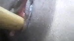 Desi girl masturbating pussy with a stick
