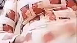 Big ass bhabhi private body parts exposing