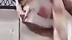 Big ass bhabhi private body parts exposing