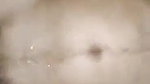 Bengali bhabhi squirting while fucking hubby