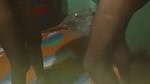 Odia call girl blowjob in standing position