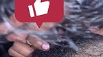 Vijayawada Telugu girl blowjob viral sex mms