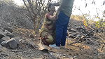 desi outdoor sex of cheating bhabhi viral xxx