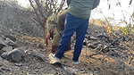 desi outdoor sex of cheating bhabhi viral xxx